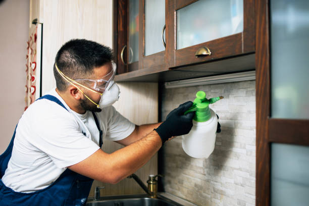 Best Local Pest Control Services  in Munford, AL