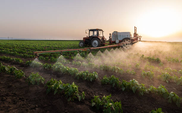 Best Insect Control  in Munford, AL