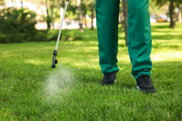 Best Cockroach Control Services  in Munford, AL