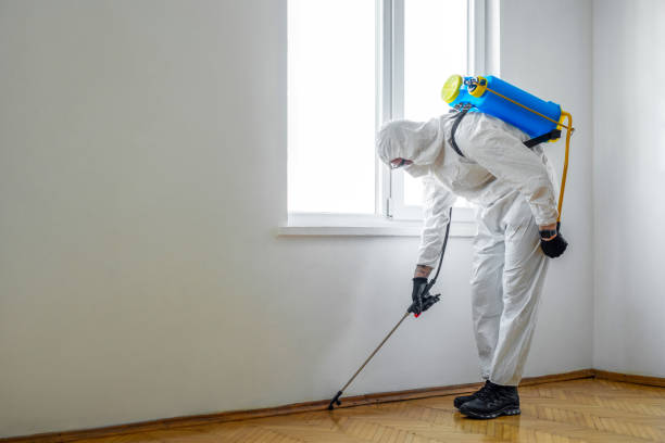 Best Insect Control  in Munford, AL