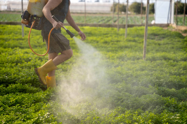 Best Ant Control Services  in Munford, AL
