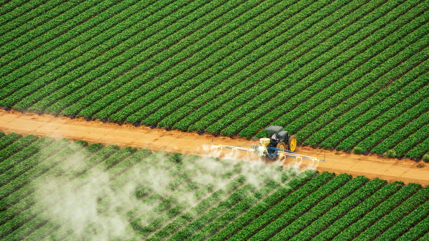 Best Mosquito Control Services  in Munford, AL