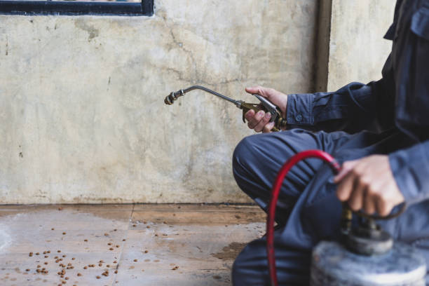 Best Mosquito Control Services  in Munford, AL